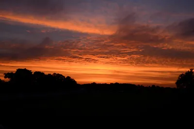 DSC_2174 (Large).JPG